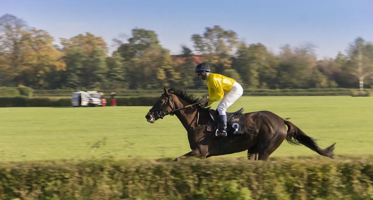 Jockey på galophest i fuld fart