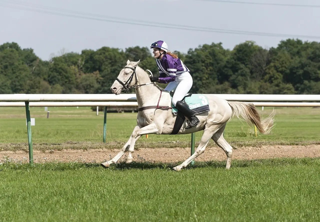 Jockey på galophest under væddeløb