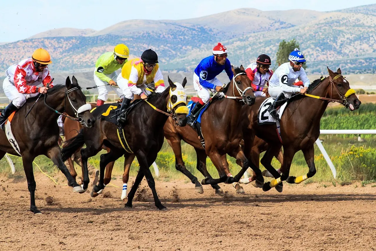 Heste og jockeys i et hestevæddeløb